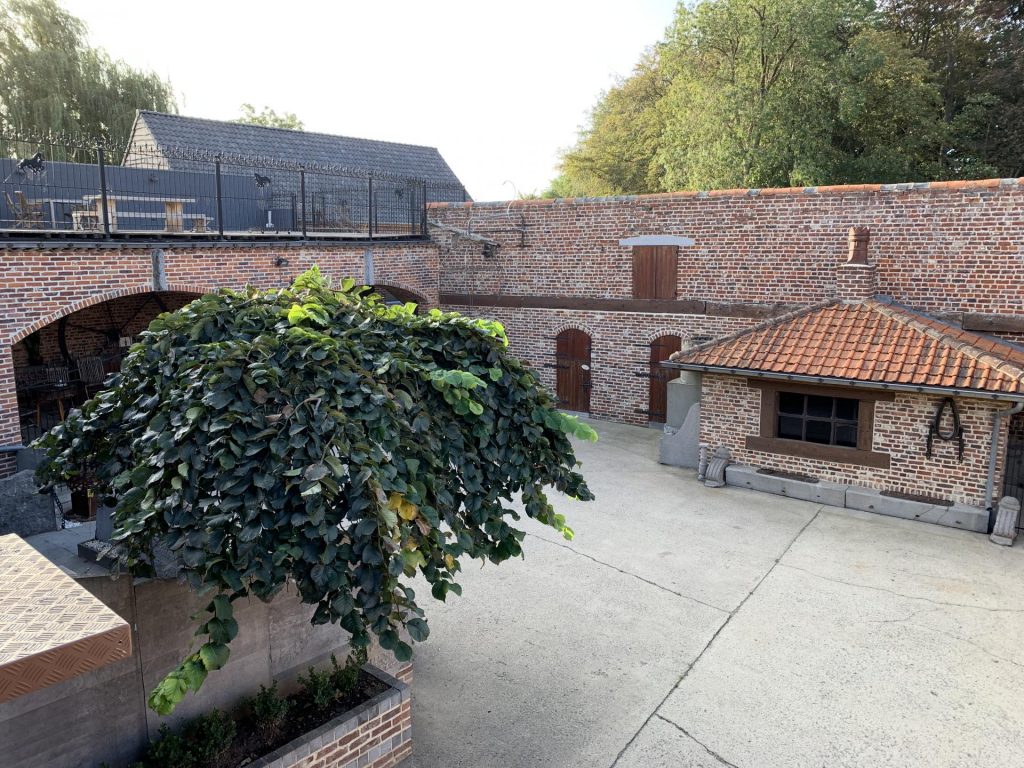 holiday home courtyard